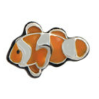 Nemo Clown Fish Charm